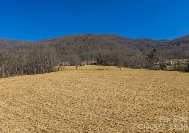 22nd image of 00 Sallys Branch Rd, Clyde, NC 28721 | MLS# 4344659