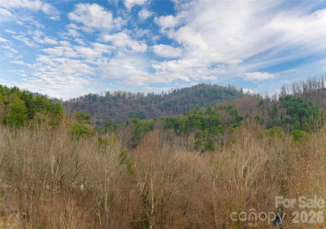 3rd image of 22 Snap Dragon Ct, Asheville, NC 28804 | MLS# 4344672