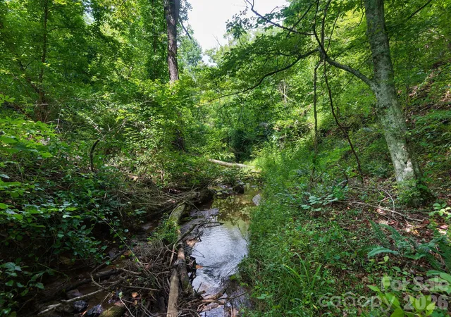 Photo 3 of Land for sale at 99999 Baileys Branch Rd, Marshall, NC 28753 | MLS# 4344724 | Listing updated on 2026-07-23