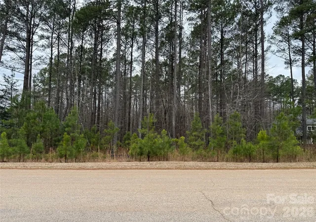 Homes for sale in Lancaster, SC | 6191 Chimney Bluff Rd, Lancaster, SC 29720 | MLS# 4344846
