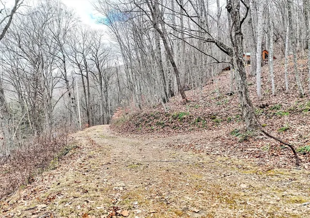 Photo 3 of Land for sale at Lot 4d Pelican Pl, Waynesville, NC 28786 | MLS# 4345046 | Listing updated on 2026-08-05