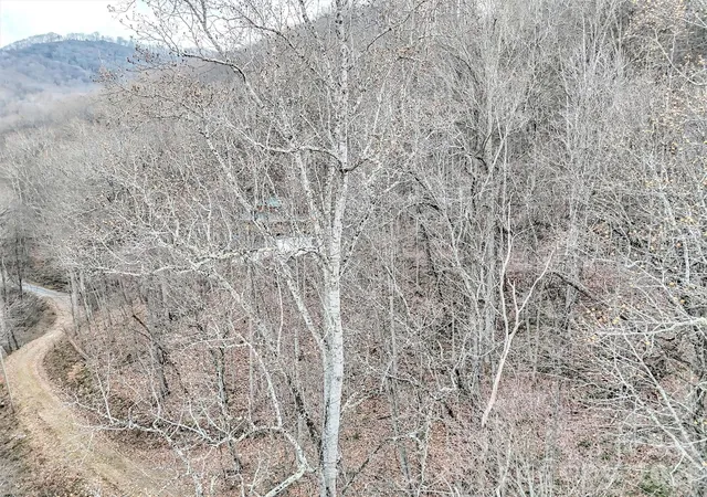 Photo 4 of Land for sale at Lot 4d Pelican Pl, Waynesville, NC 28786 | MLS# 4345046 | Listing updated on 2026-08-05