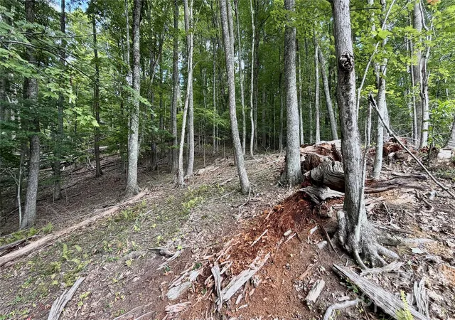 Photo 2 of Land for sale at 000 Fox Den Rd #109, Mars Hill, NC 28754 | MLS# 4345651 | Listing updated on 2026-08-21