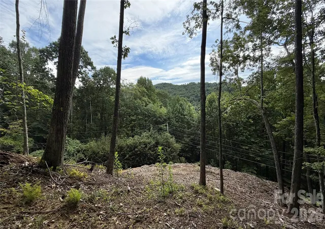 Photo 3 of Land for sale at 000 Fox Den Rd #109, Mars Hill, NC 28754 | MLS# 4345651 | Listing updated on 2026-08-21