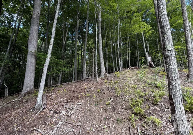 Photo 4 of Land for sale at 000 Fox Den Rd #109, Mars Hill, NC 28754 | MLS# 4345651 | Listing updated on 2026-08-21