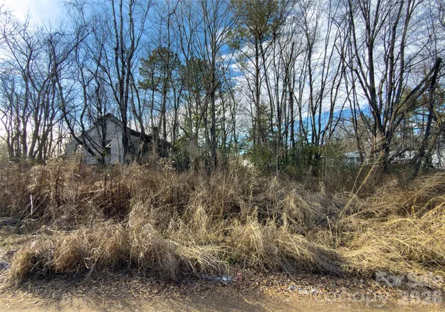 Photo 3 of Land for sale at 3072 Chinook Trl, Lincolnton, NC 28092 | MLS# 4345787 | Listing updated on 2026-10-07