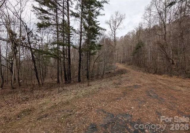 Photo 4 of Land for sale at 000 Wild Turkey Pen Rd, Bakersville, NC 28705 | MLS# 4345846 | Listing updated on 2026-08-15