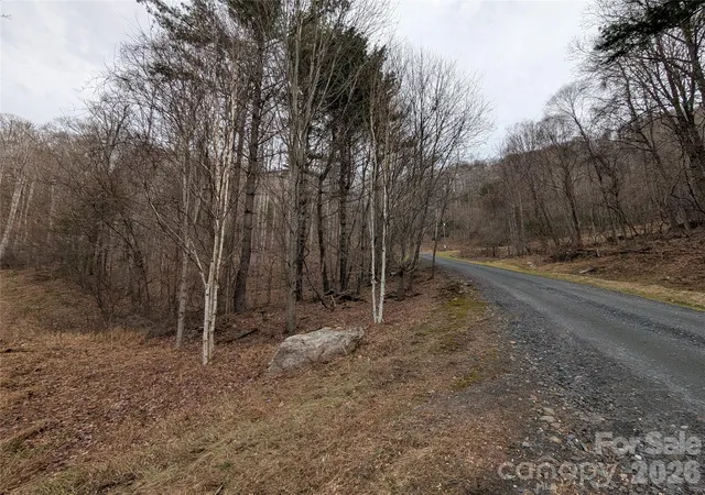 Photo 5 of Land for sale at 000 Wild Turkey Pen Rd, Bakersville, NC 28705 | MLS# 4345846 | Listing updated on 2026-08-15