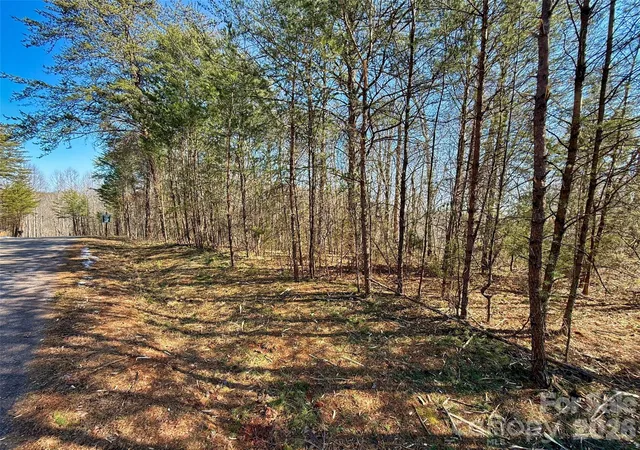 2nd image of Lots 79 80 100 Westridge Dr, Lake Lure, NC 28746 | MLS# 4345877