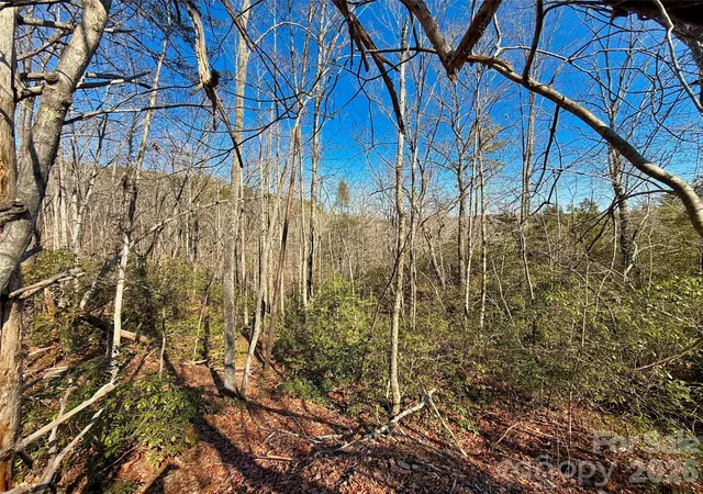 4th image of Lots 79 80 100 Westridge Dr, Lake Lure, NC 28746 | MLS# 4345877