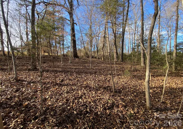 Photo 2 of Land for sale at 0 Us Hwy 64/74a, Rutherfordton, NC 28139 | MLS# 4345963 | Listing updated on 2026-09-16