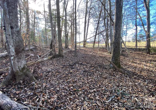 Photo 3 of Land for sale at 0 Us Hwy 64/74a, Rutherfordton, NC 28139 | MLS# 4345963 | Listing updated on 2026-09-16