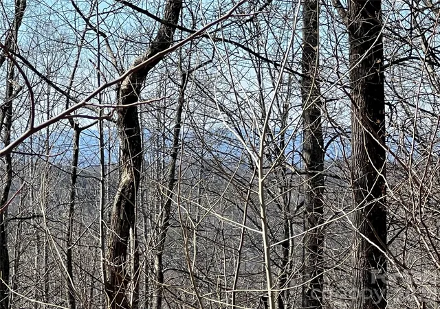 Photo 2 of Land for sale at 521 Timber Rock Dr #521, Lenoir, NC | MLS# 4346129 | Listing updated on 2026-02-16