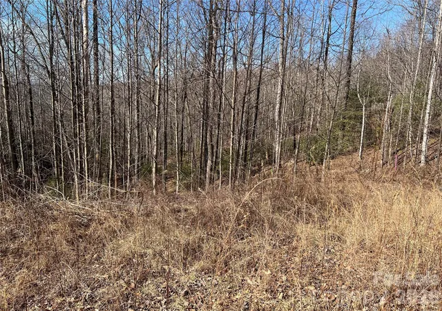 Photo 3 of Land for sale at 521 Timber Rock Dr #521, Lenoir, NC | MLS# 4346129 | Listing updated on 2026-02-16