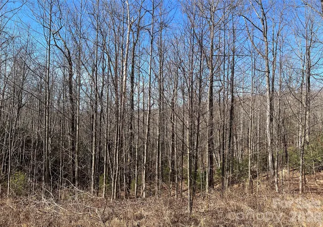 Photo 4 of Land for sale at 521 Timber Rock Dr #521, Lenoir, NC | MLS# 4346129 | Listing updated on 2026-02-16