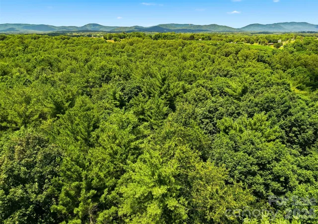19th image of 0 Three Forks Church Rd, Taylorsville, NC 28681 | MLS# 4346149