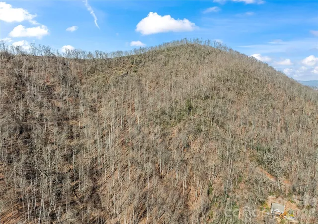 12th image of 31 Reillys Bluff Rd #2, Barnardsville, NC 28709 | MLS# 4346163