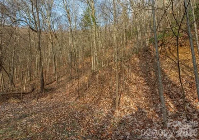 Photo 3 of Land for sale at 31 Reillys Blf Rd #2, Barnardsville, NC 28709 | MLS# 4346163 | Listing updated on 2026-09-11