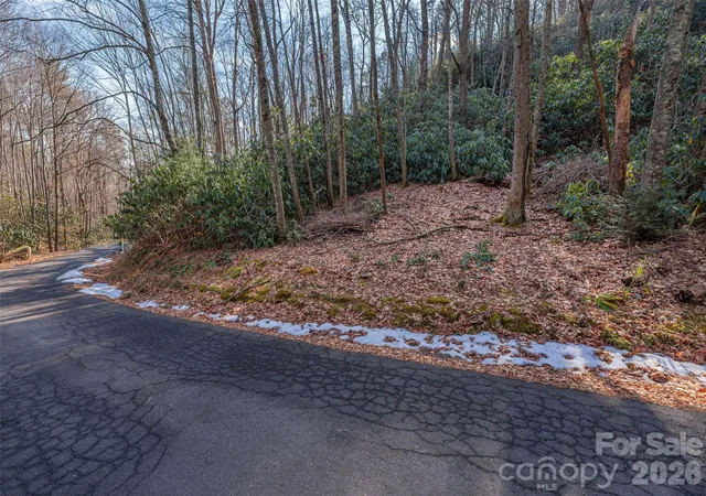 Photo 3 of Land for sale at 0 Coyote Holw Rd, Waynesville, NC 28785 | MLS# 4346203 | Listing updated on 2026-02-21