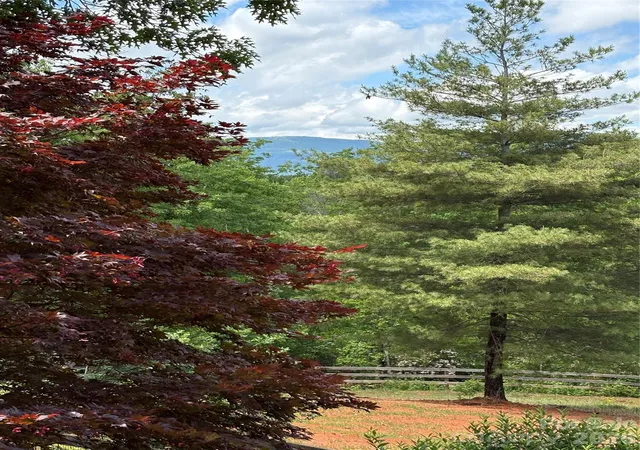 5th image of 250 Burt Blackwell Rd, Mill Spring, NC 28756 | MLS# 4346240