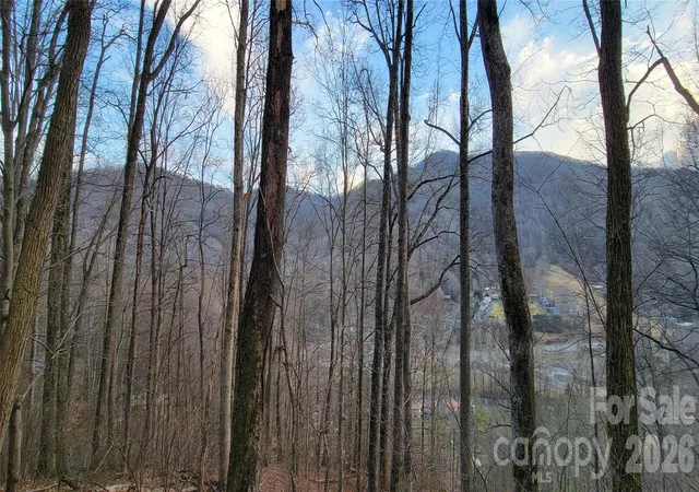 Homes for sale in Maggie Valley, NC | 445 Allison Dr, Maggie Valley, NC 28751 | MLS# 4346332