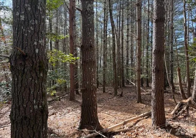 3rd image of 1386 Southpointe Dr, Morganton, NC 28655 | MLS# 4346433