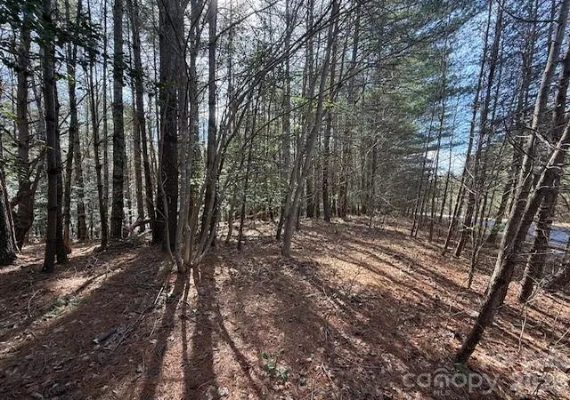 4th image of 1386 Southpointe Dr, Morganton, NC 28655 | MLS# 4346433