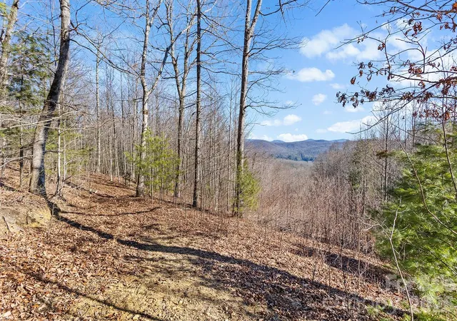 1st image of 0000 Pinnacle Mountain Rd #Lots 1,2,3,4, Zirconia, NC 28790 | MLS# 4346599