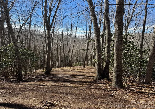 Photo 3 of Land for sale at 236 Dl The Hl Rd, Sylva, NC 28779 | MLS# 4347523 | Listing updated on 2026-03-02
