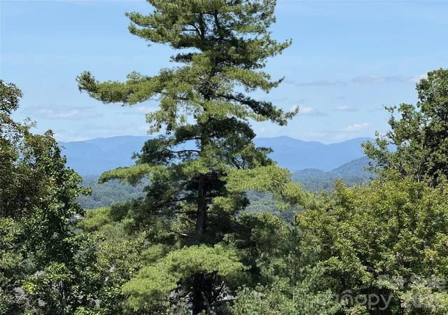 Single family home for sale at 44 Leisure Mountain Rd, Asheville, NC 28804 | MLS# 4349141