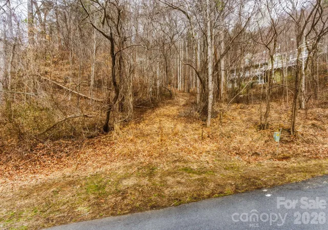 3rd image of 99999 Hawk View Dr #7, Asheville, NC 28804 | MLS# 4349241