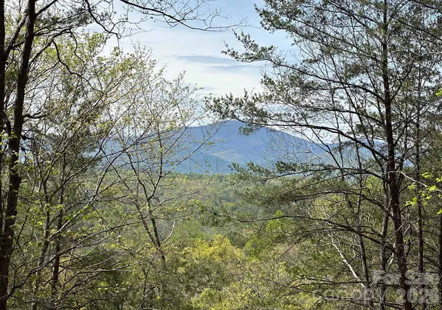 5th image of 5510 Us Hwy 64/74A, Lake Lure, NC 28746 | MLS# 4349311