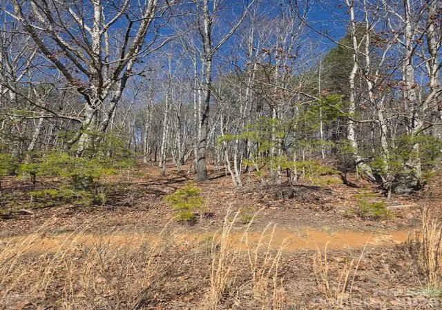 Photo 3 of Land for sale at 4899 Teague Town Rd, Taylorsville, NC 28681 | MLS# 4349596 | Listing updated on 2026-05-26