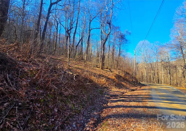 Photo 2 of Land for sale at 160 Slippery Rock Rd #206, Waynesville, NC 28785 | MLS# 4349639 | Listing updated on 2026-09-21