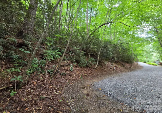 Photo 1 of Land for sale at 230 Serendipity Ln #105, Waynesville, NC 28785 | MLS# 4349712 | Listing updated on 2026-10-08