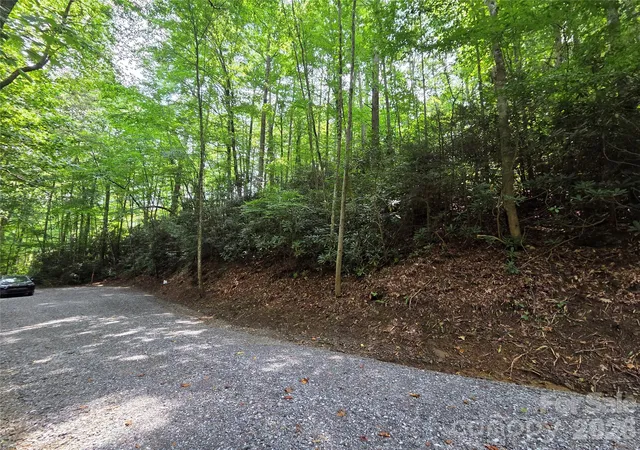 Photo 3 of Land for sale at 230 Serendipity Ln #105, Waynesville, NC 28785 | MLS# 4349712 | Listing updated on 2026-10-08