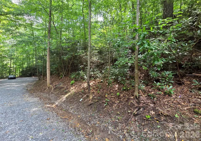 Photo 4 of Land for sale at 230 Serendipity Ln #105, Waynesville, NC 28785 | MLS# 4349712 | Listing updated on 2026-10-08