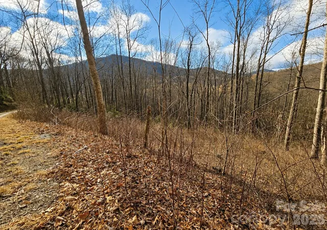 Homes for sale in Waynesville, NC | 900 Fern Trl #31, Waynesville, NC 28786 | MLS# 4349722