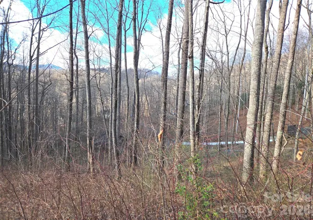 Homes for sale in Waynesville, NC | 900 Fern Trl #31, Waynesville, NC 28786 | MLS# 4349722