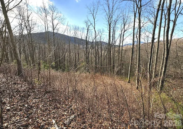 Homes for sale in Waynesville, NC | 900 Fern Trl #31, Waynesville, NC 28786 | MLS# 4349722