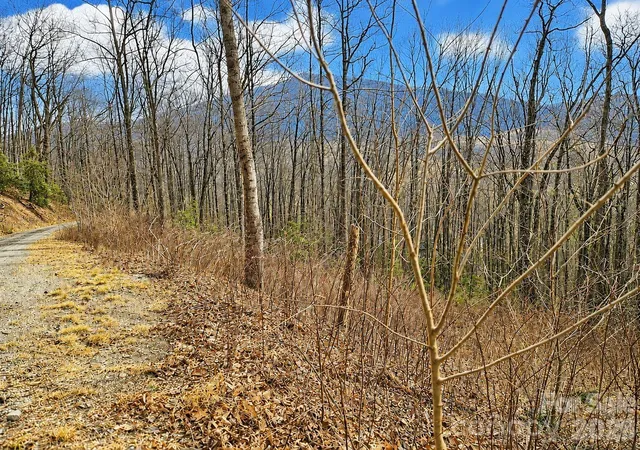 Land for sale at 900 Fern Trl #31, Waynesville, NC 28786 | MLS# 4349722