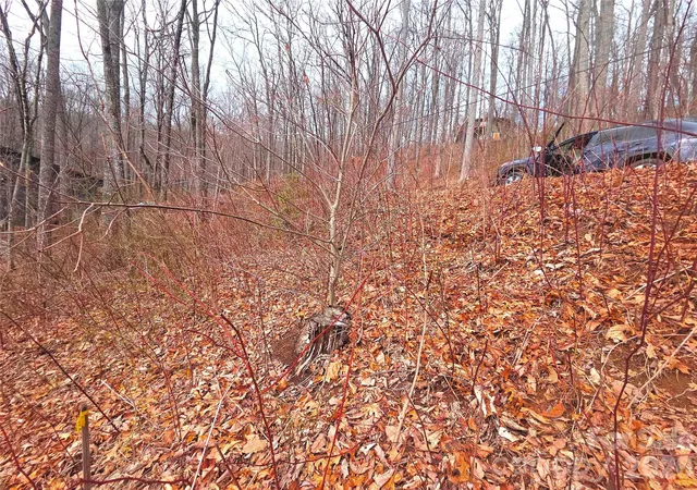 Photo 3 of Land for sale at 900 Fern Trl #31, Waynesville, NC 28786 | MLS# 4349722 | Listing updated on 2026-09-26