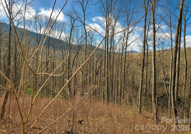 Photo 4 of Land for sale at 900 Fern Trl #31, Waynesville, NC 28786 | MLS# 4349722 | Listing updated on 2026-09-26