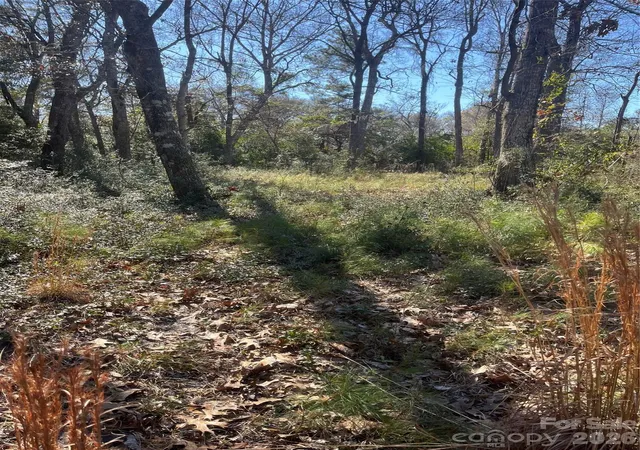 Photo 3 of Land for sale at 9161 Heritage Dr Sw, Calabash, NC 28467 | MLS# 4349804 | Listing updated on 2026-09-17