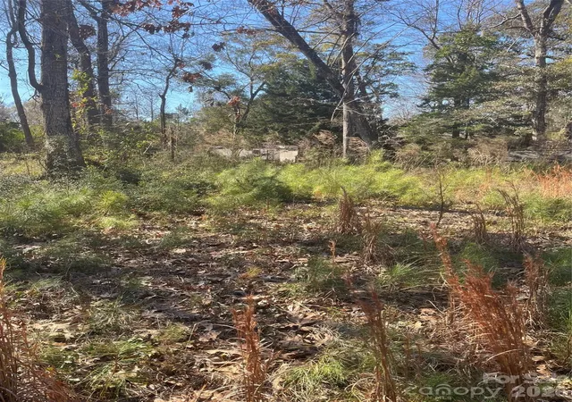 Photo 3 of Land for sale at 9161 Heritage Dr SW, Calabash, NC 28467 | MLS# 4349804 | Listing updated on 2026-09-17