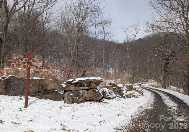 3rd image of 00 Bear Wallow Trl, Canton, NC 28716 | MLS# 4350265