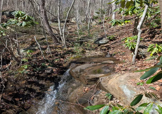 2nd image of 00 Bear Wallow Trl, Canton, NC 28716 | MLS# 4350265