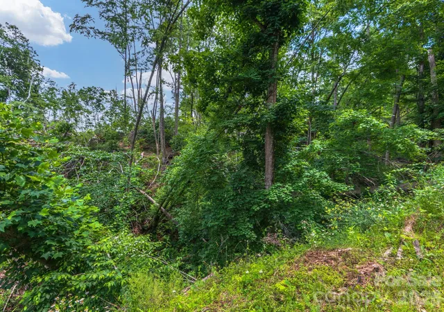Photo 3 of Land for sale at 99999 Winterberry Rd #11, Burnsville, NC 28714 | MLS# 4350380 | Listing updated on 2026-08-07