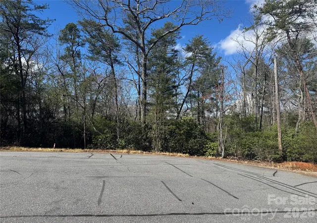 Photo 3 of Land for sale at 91 W Lake Rd #91, Marion, NC 28752 | MLS# 4350503 | Listing updated on 2026-03-26