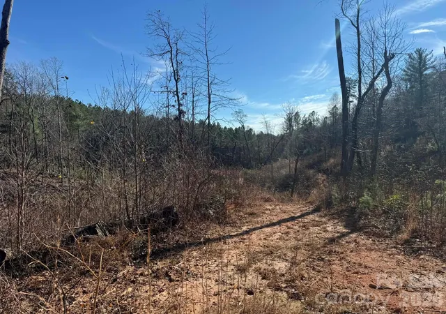 Homes for sale in Thurmond, NC | Tbd Old Railroad Grade Rd, Thurmond, NC 28683 | MLS# 4350591